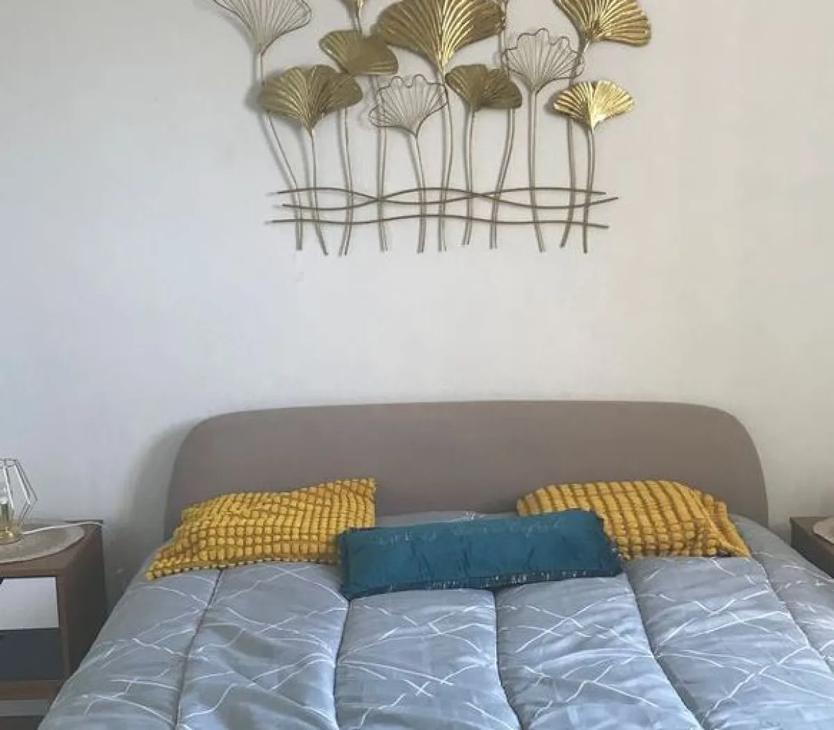 Location Reims Appartement c4dc49fe