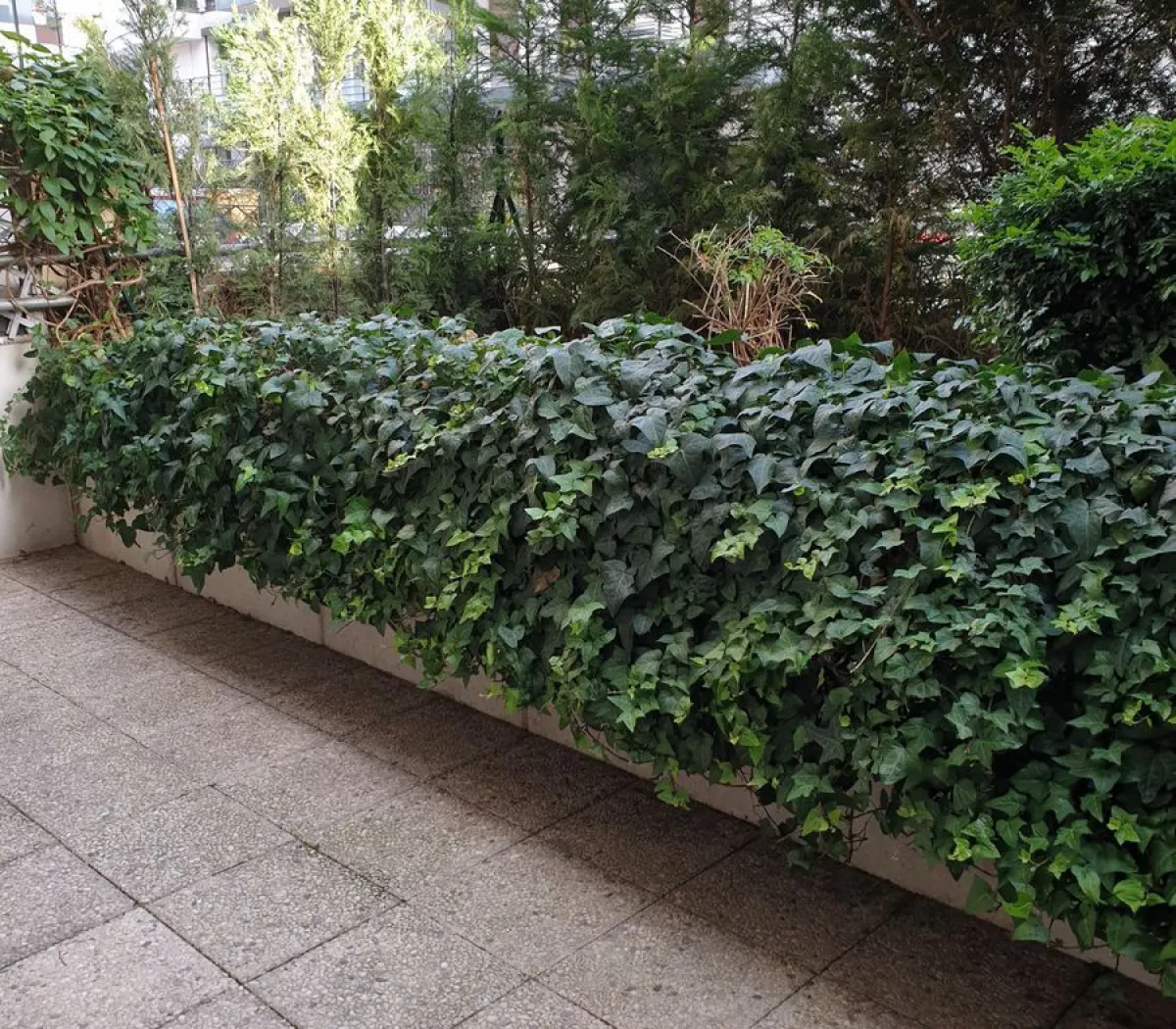 Location Courbevoie Appartement c7c297e8