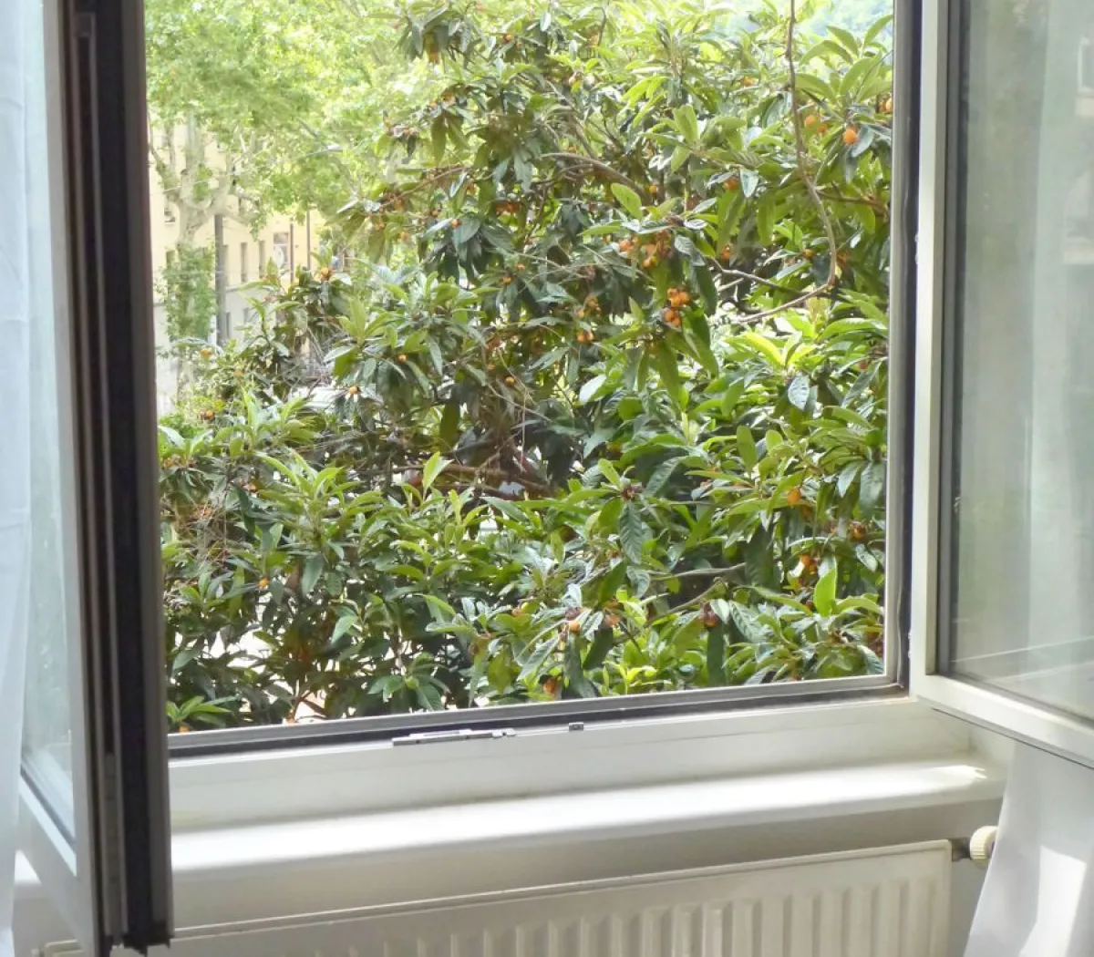 Location Lyon Appartement cd6bf79c