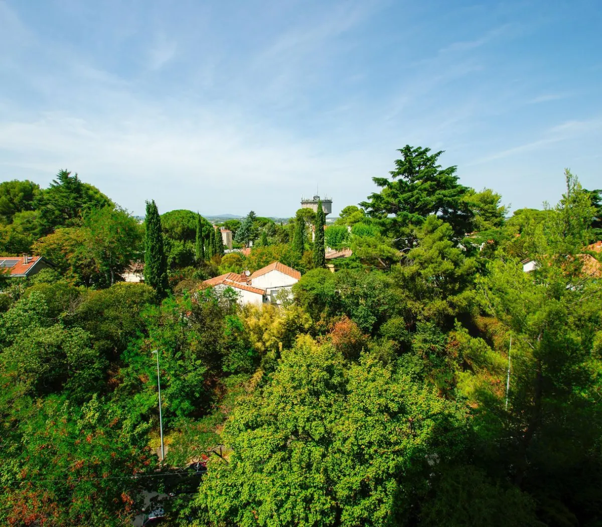 Location Montpellier Appartement ce64c476