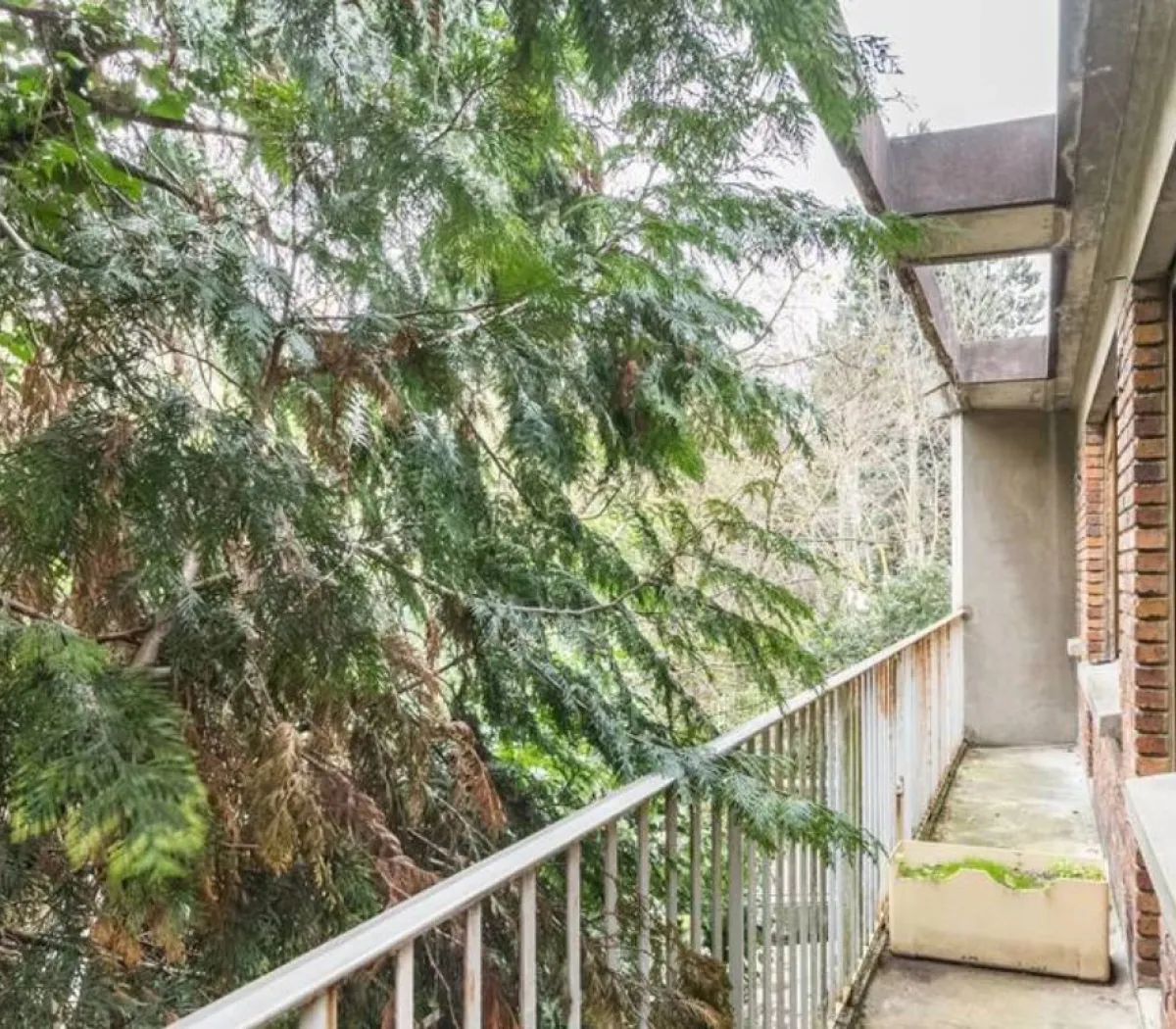 Location Sceaux Appartement cfe019bb