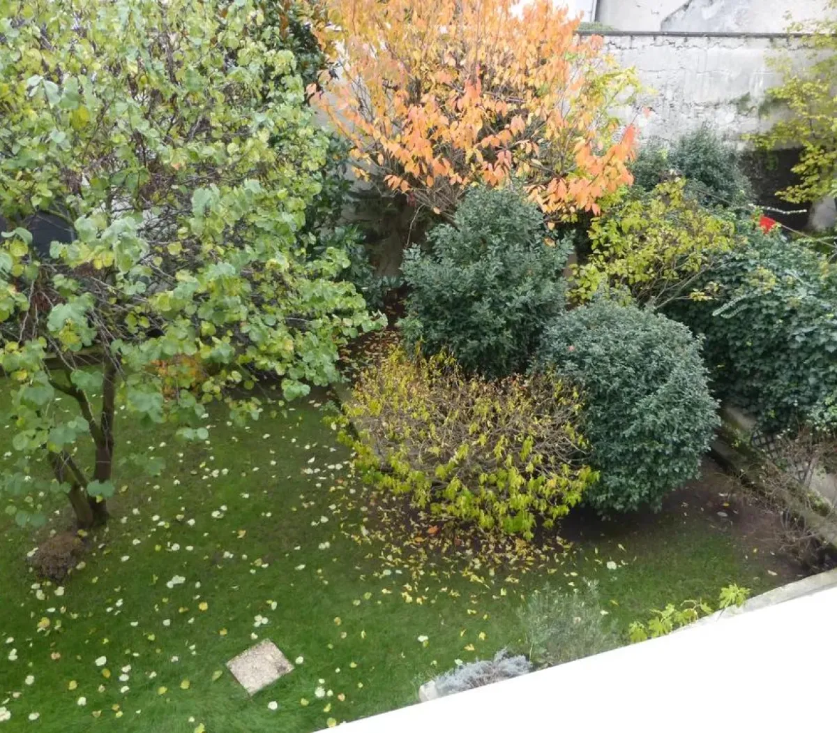 Location Nogent-sur-Marne Appartement d370dd08