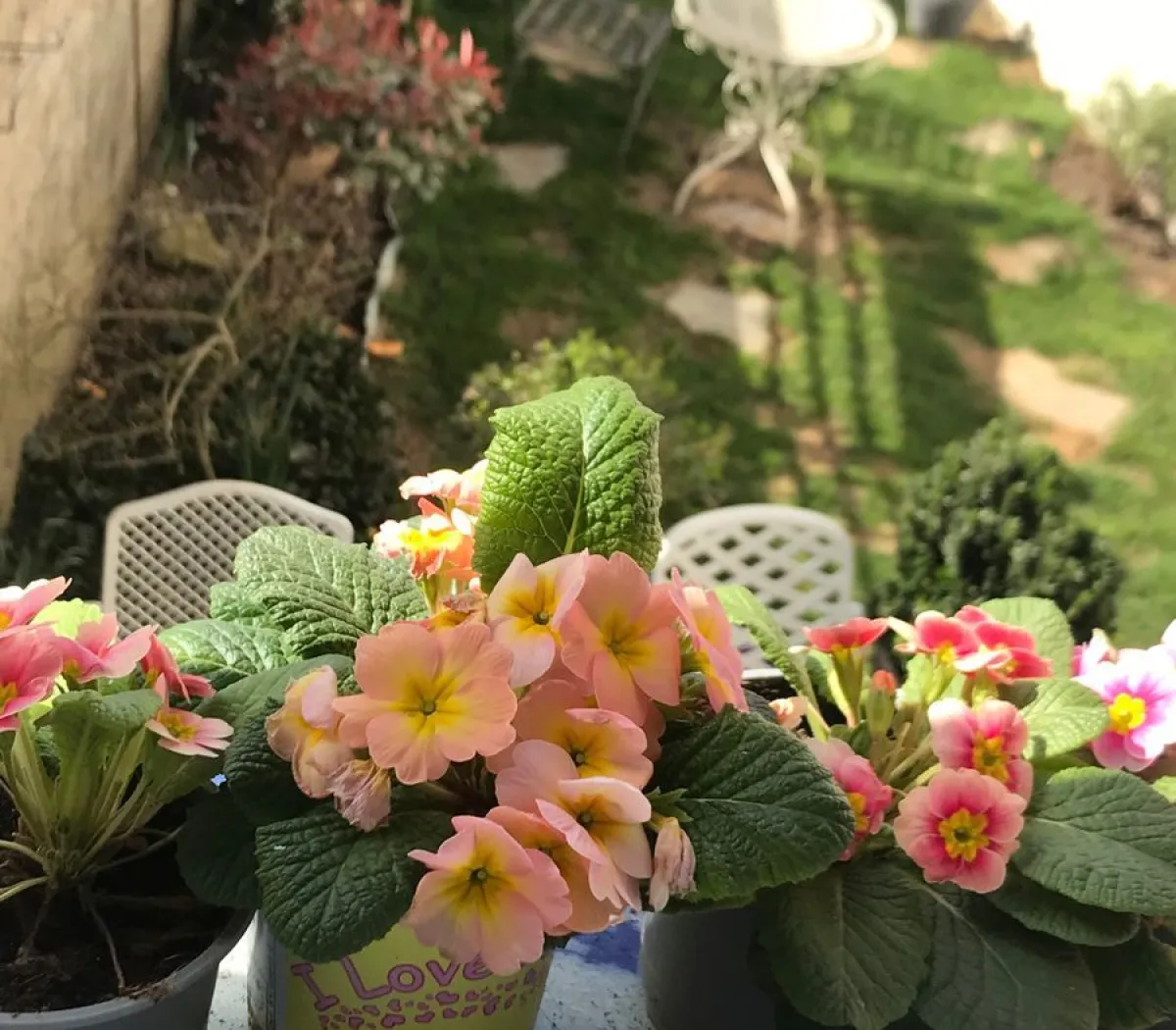 Location Orléans Appartement d48e05ab