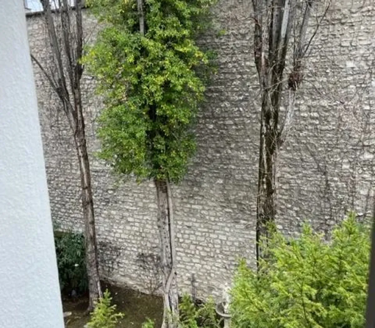 Location Neuilly-sur-Seine Appartement d6725227