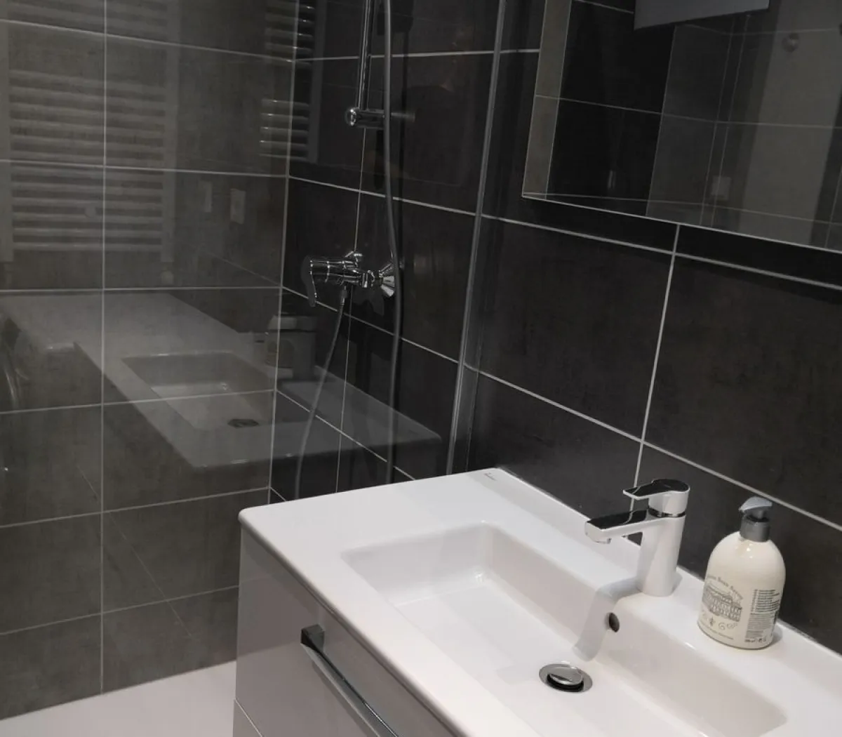 Location Grenoble Appartement d7dac2c7