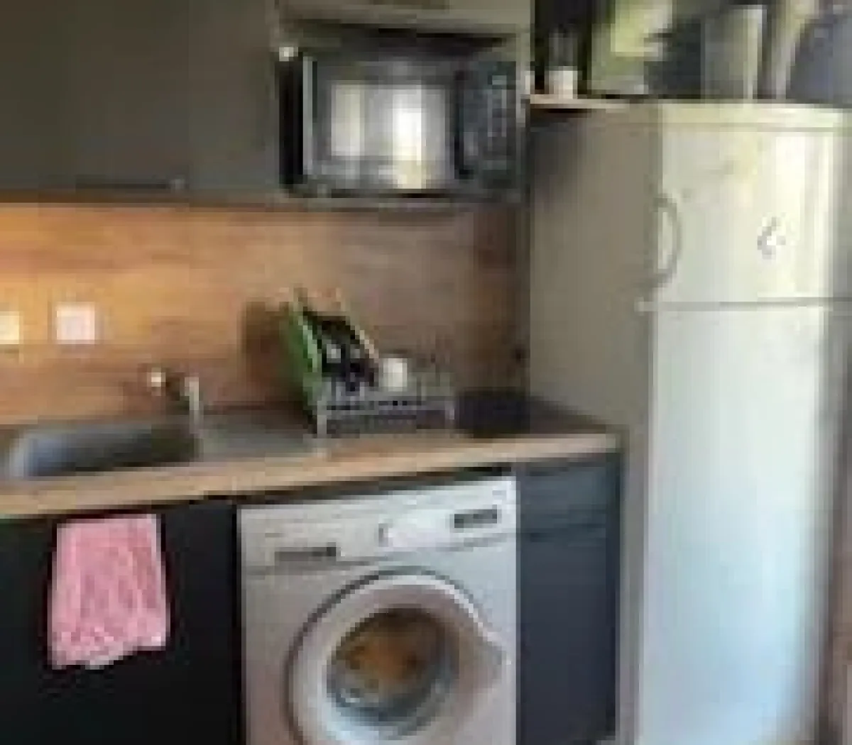 Location Montpellier Appartement d80aed13