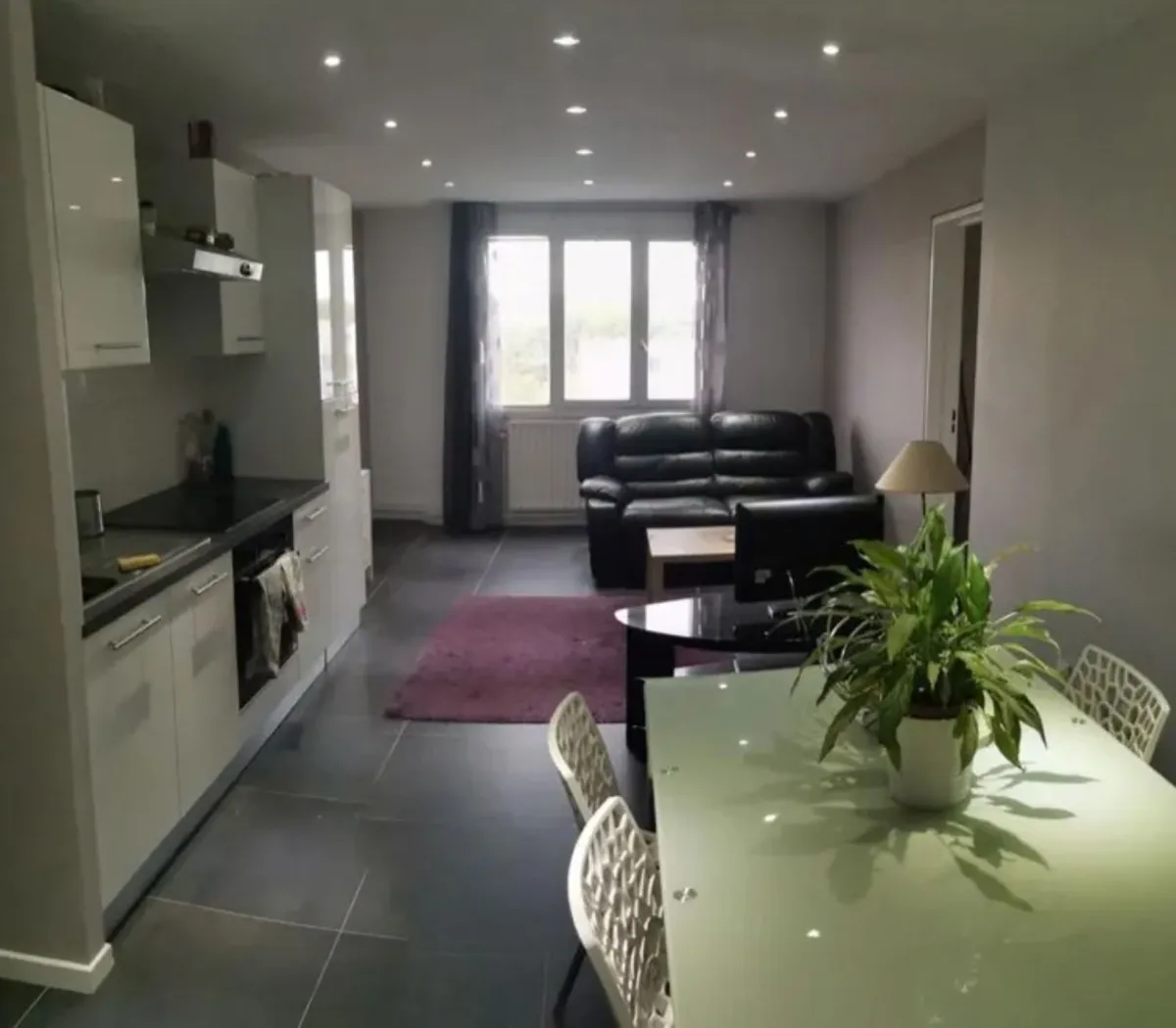 Location Villeurbanne Appartement dde04ba8