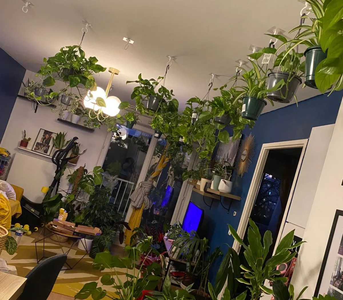 Location Neuilly-sur-Marne Appartement e4be5492