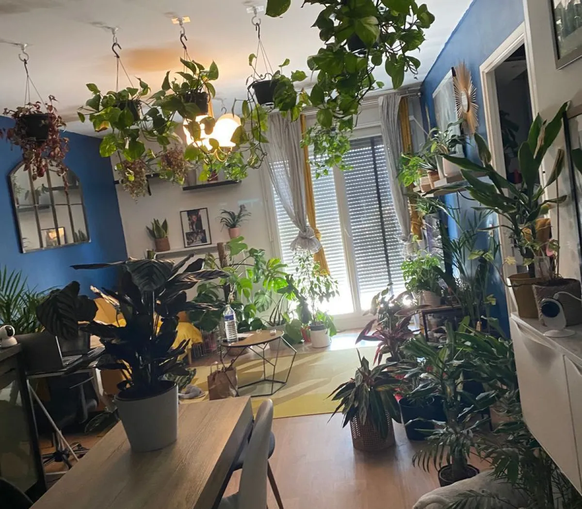 Location Neuilly-sur-Marne Appartement e4be5492