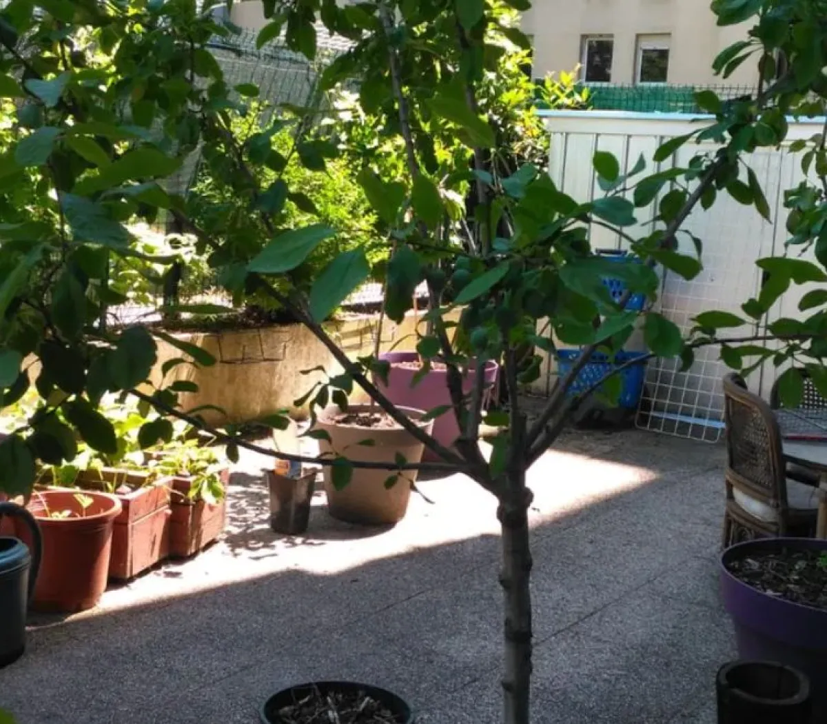 Location Lyon Appartement e4c48975