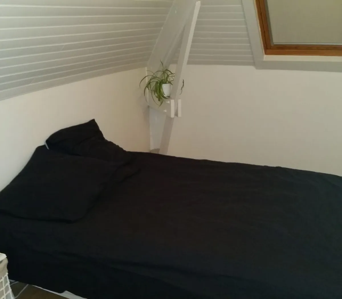 Location Crosne Appartement e5db1116