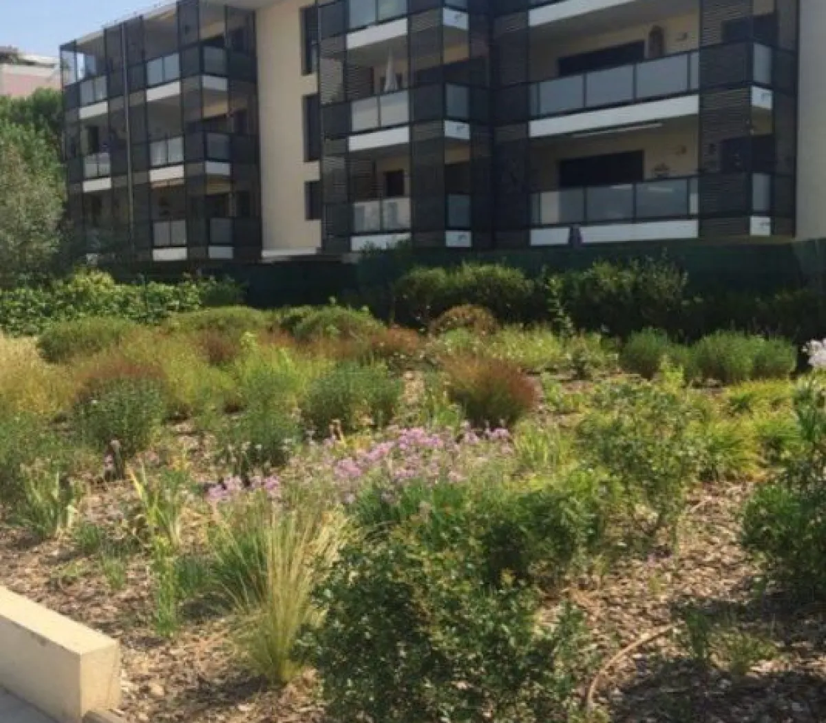 Location Aix-en-Provence Appartement ed1a5819