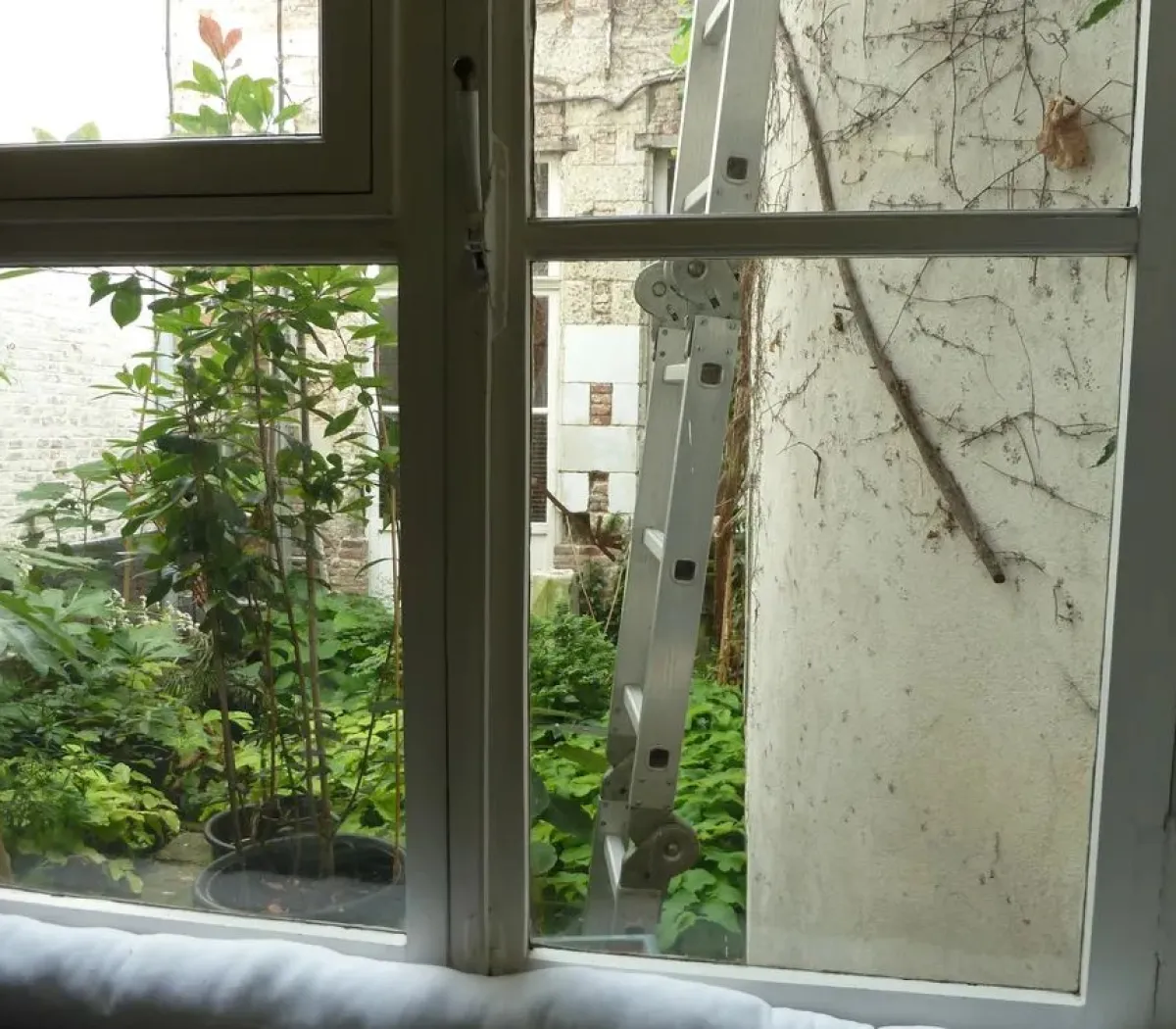 Location Lille Appartement f1d4cefb