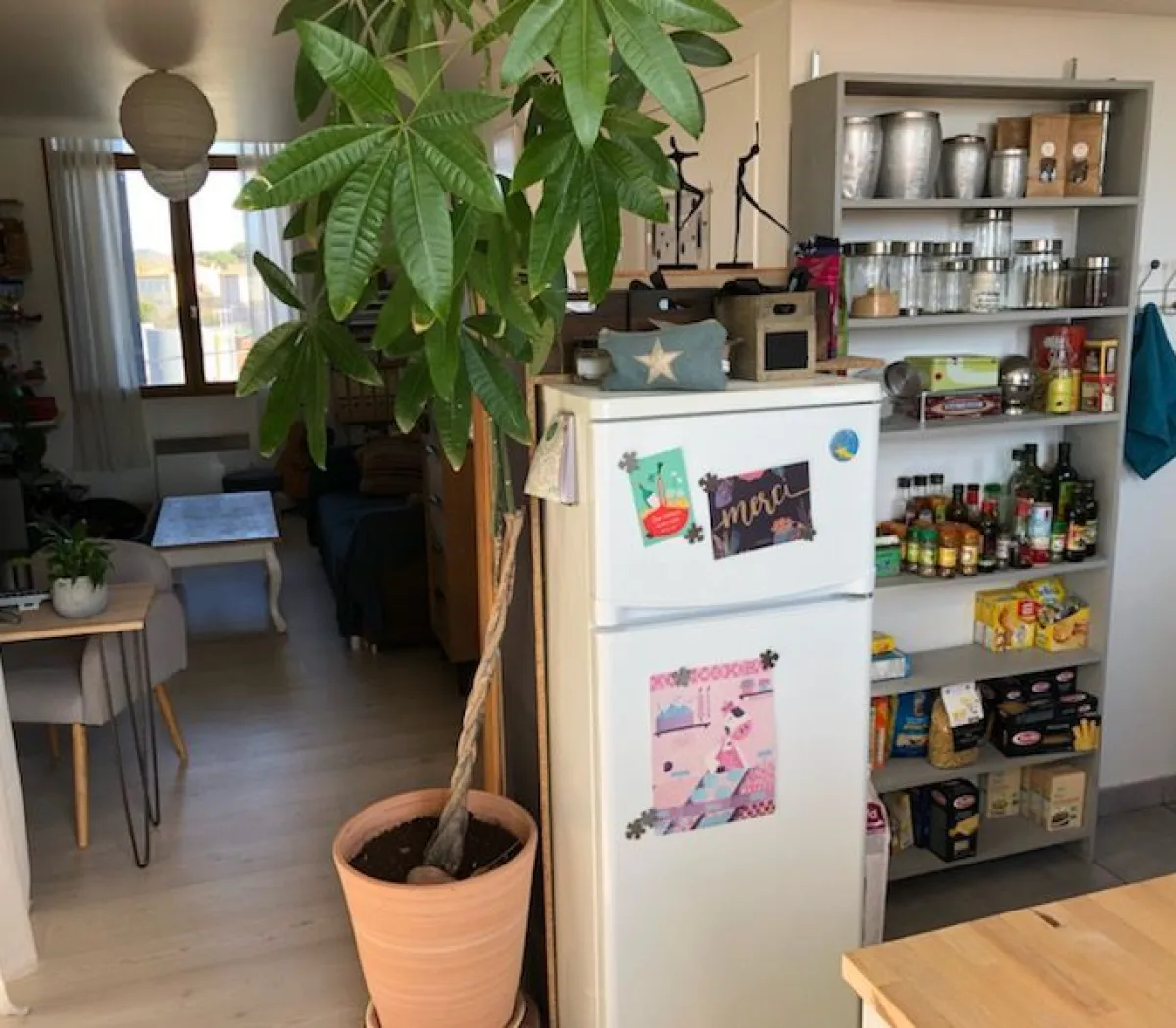 Location Montpellier Appartement f26647fb