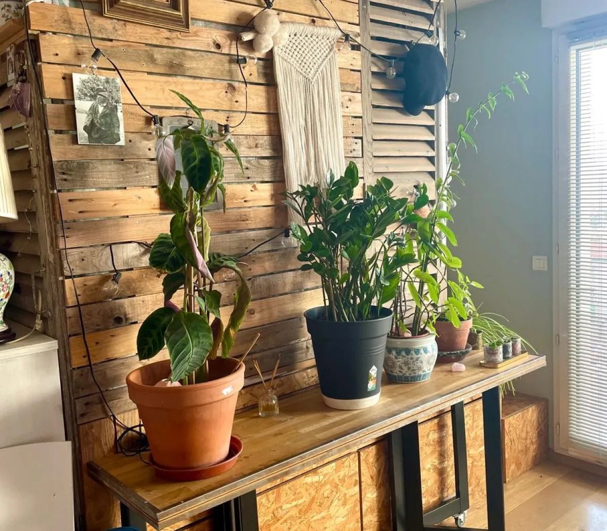 Location Noisy-le-Grand Appartement f794c6b9