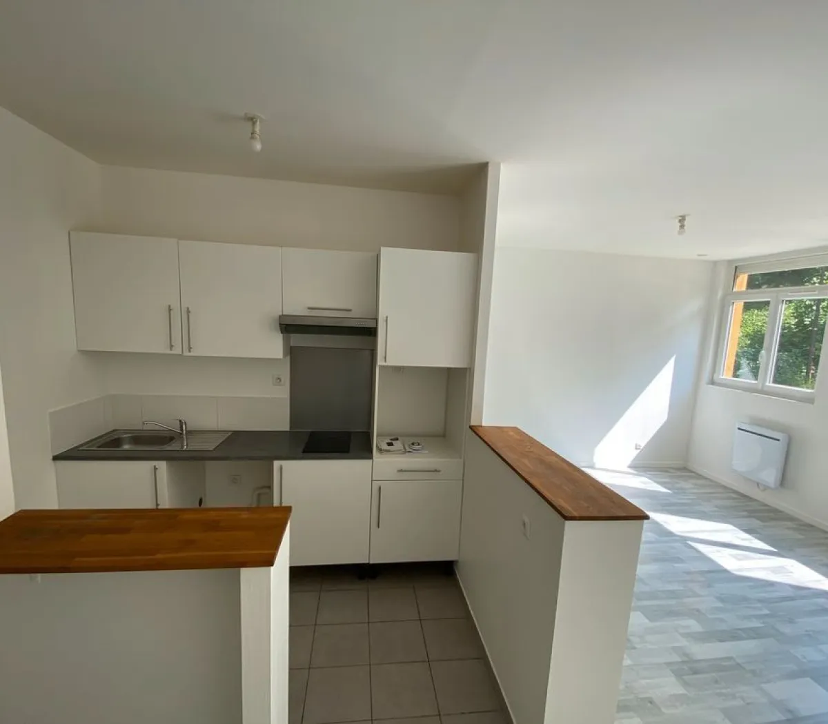 Location Nice Appartement fbf4e326