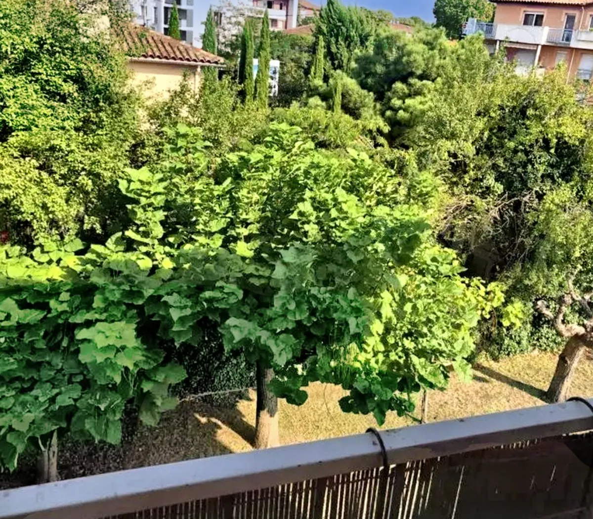 Location Toulouse Appartement fc020862