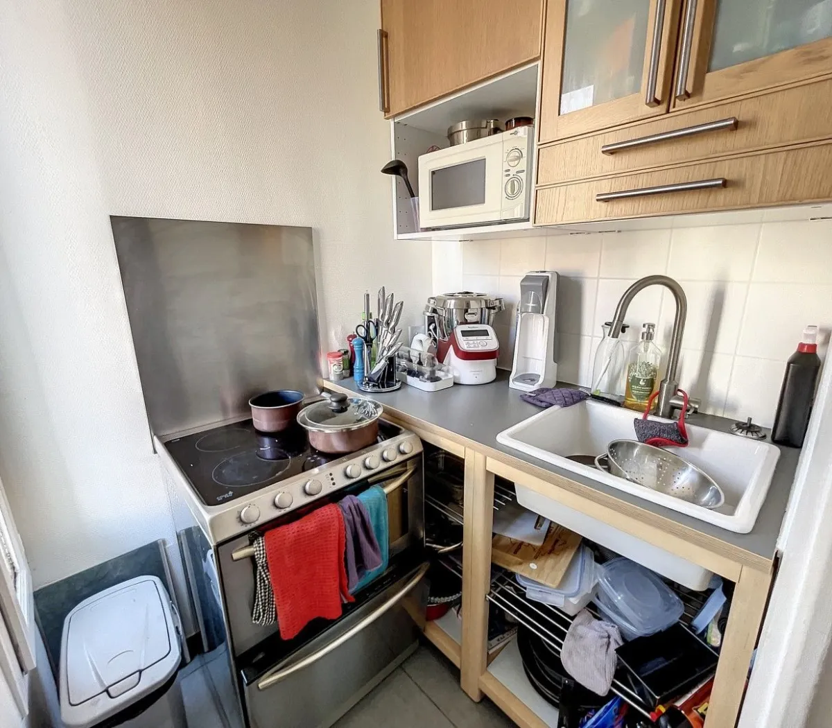 Location Le Kremlin-Bicêtre Appartement fc3ea9a9